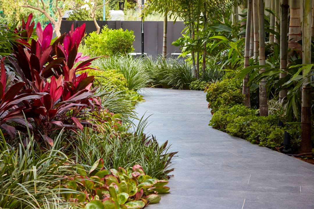 238037032_1679130372283370_213004541289456658_n