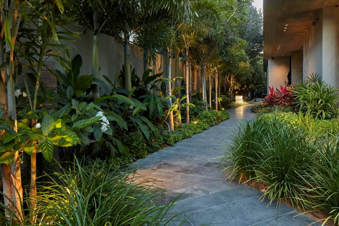 238700297_1679130322283375_8612394375022306781_n