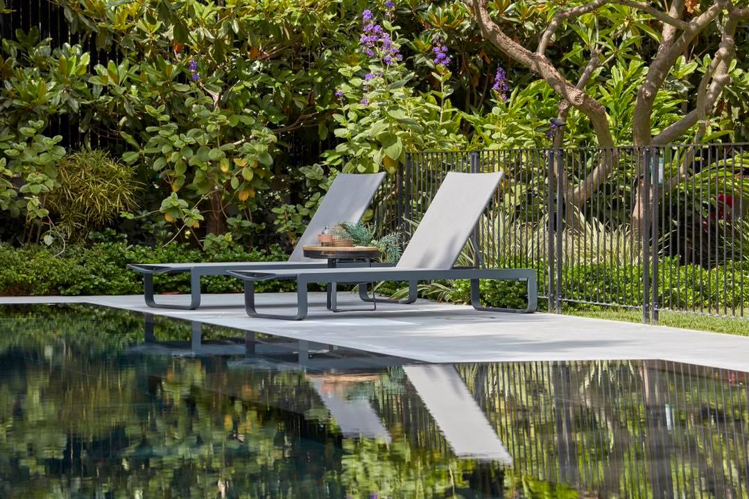 239042321_1679130332283374_1161712541798991351_n