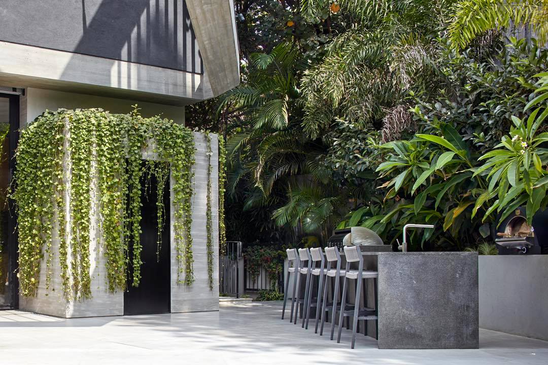 239062064_1679130338950040_4712876397816471962_n