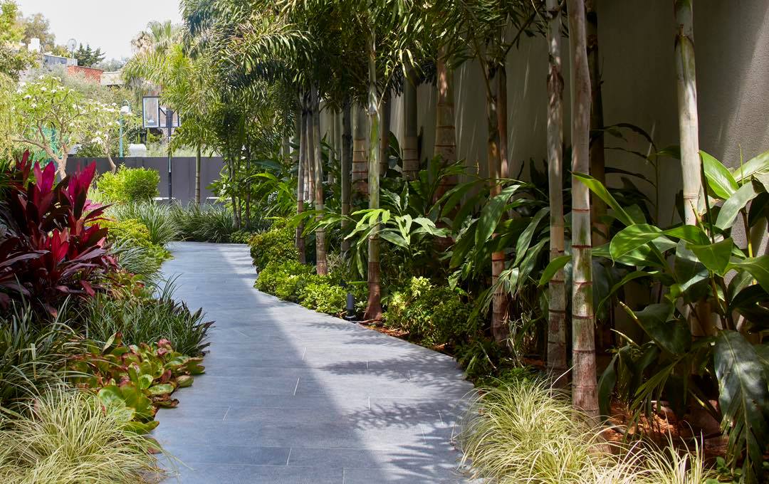 239096008_1679130348950039_3053921187778712817_n