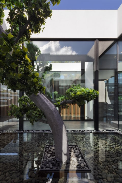 6228_Assaf Pinchuk photography