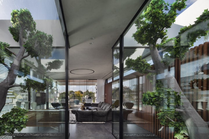 6343_Assaf Pinchuk photography