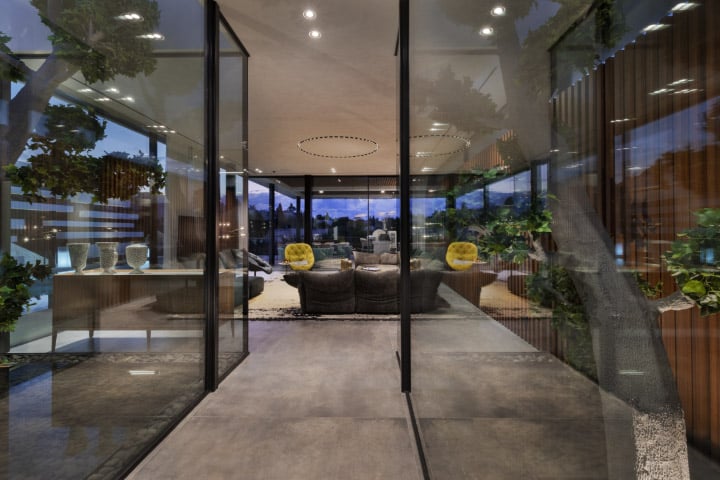 6626_Assaf Pinchuk photography