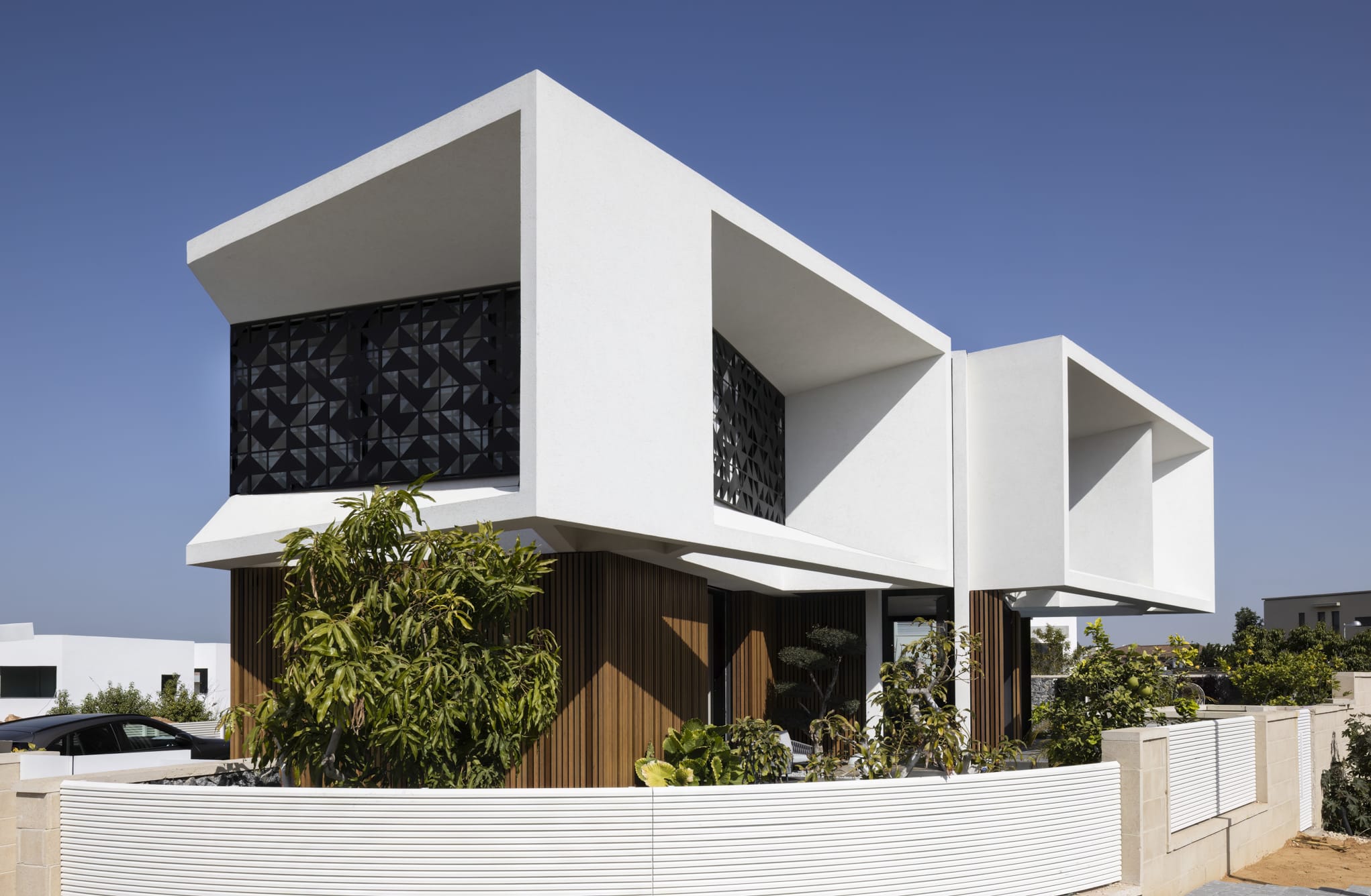 IMG_5495 copy 2-to-denoise